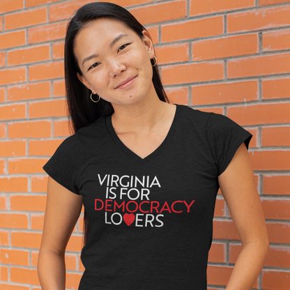 Person wearing a black t-shirt with 'Virginia is for Democracy Lovers' text standing against a brick wall.